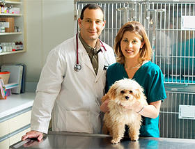 clinica veterinaria